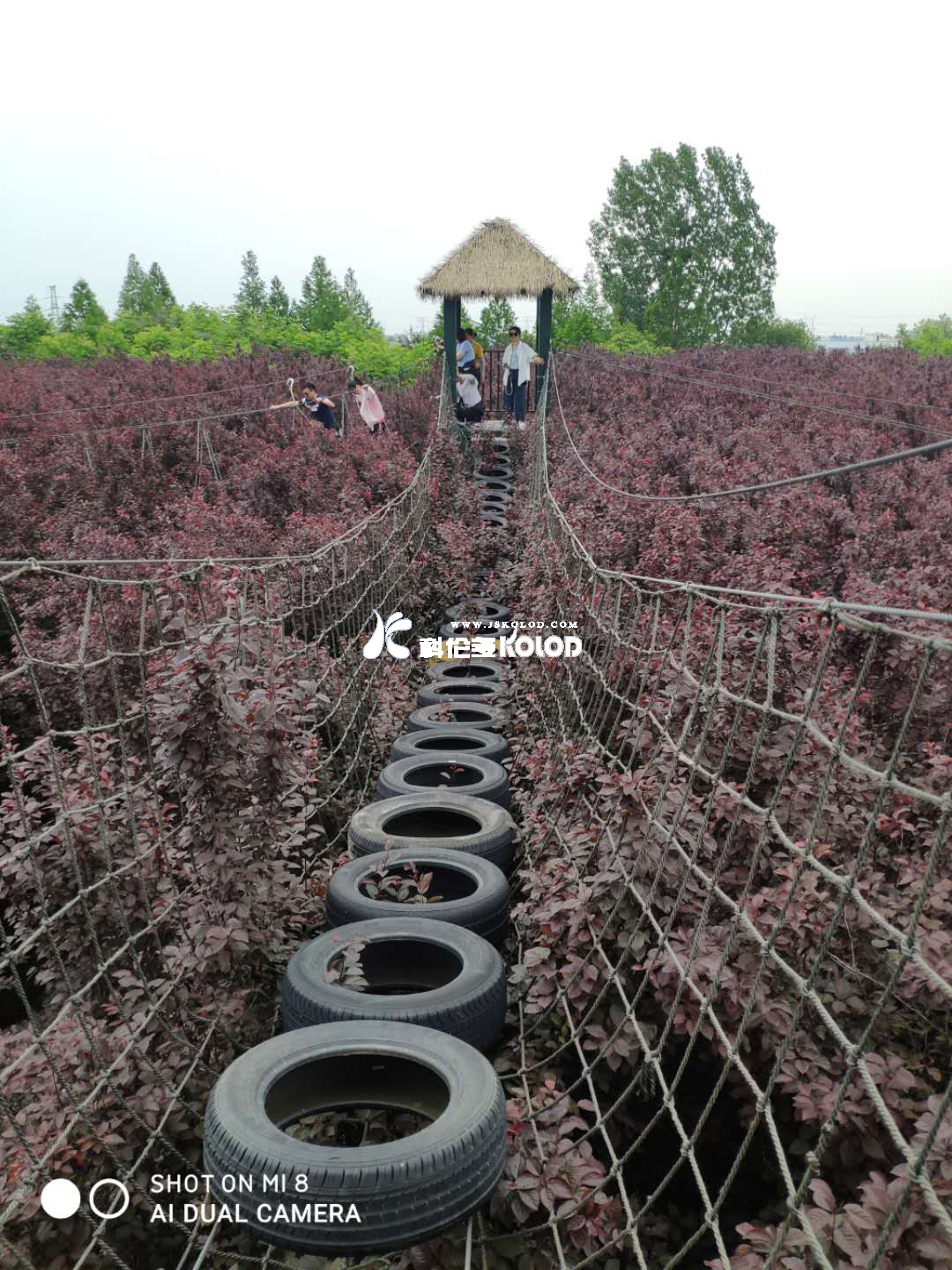 追求卓越團隊、鑄造優(yōu)秀團隊、共創(chuàng  )企業(yè)輝煌 （江蘇科倫多赴兆隆林海灣叢林樂(lè )園開(kāi)展團建活動(dòng)）